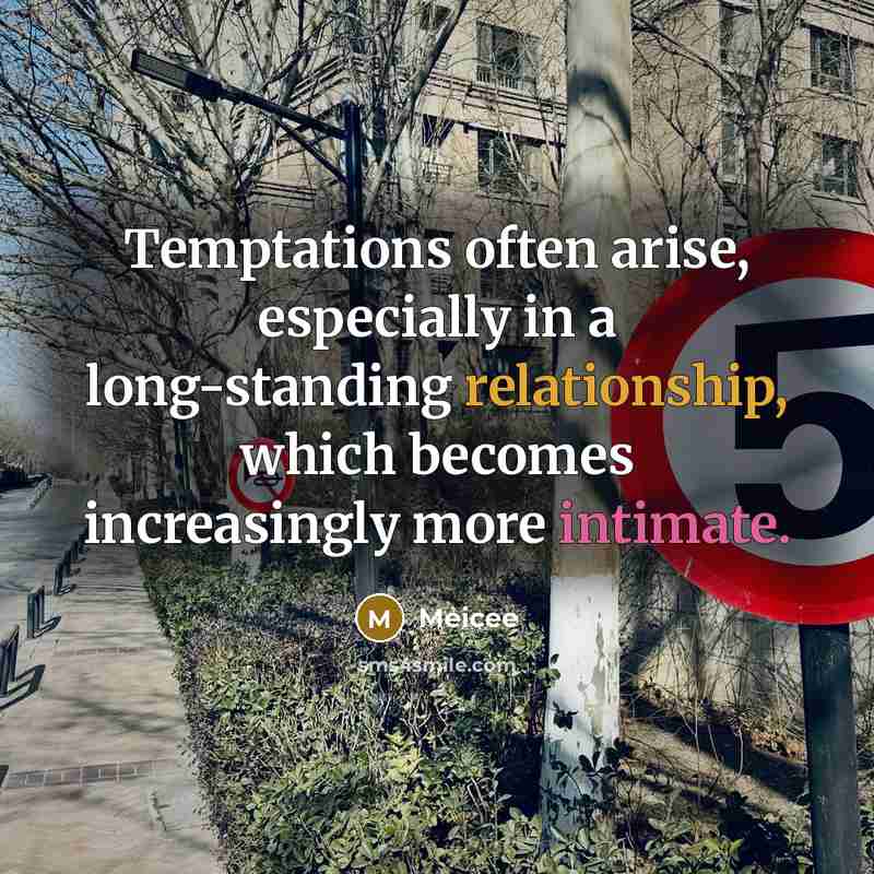 “Temptations often arise, especially in a long-standing relationship, which becomes increasingly more intimate.” quote by Meicee
