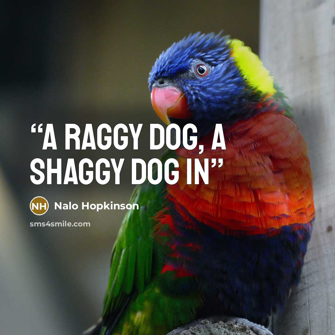 “A Raggy Dog, a Shaggy Dog In” quote by Nalo Hopkinson