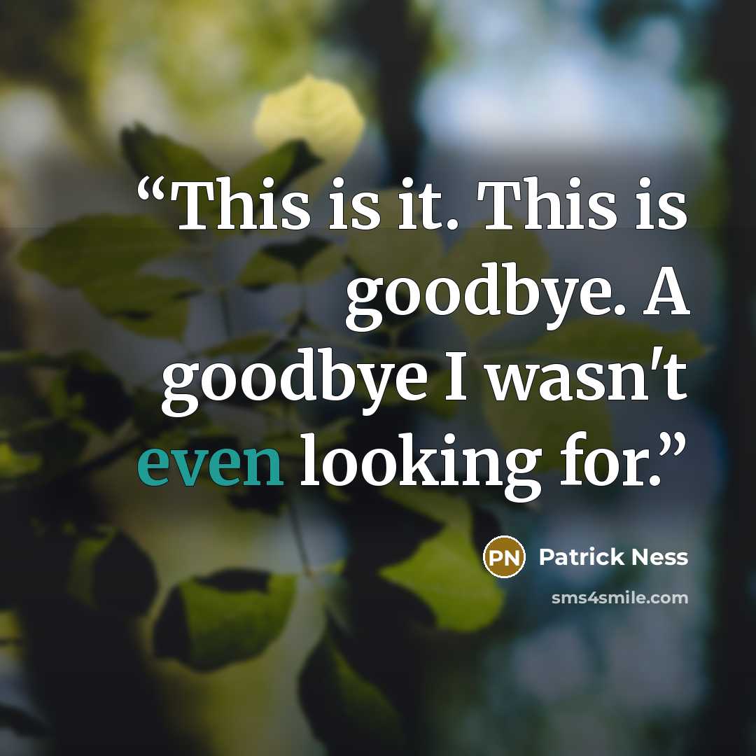 “This is it. This is goodbye. A goodbye I wasn't even looking for.” quote by Patrick Ness