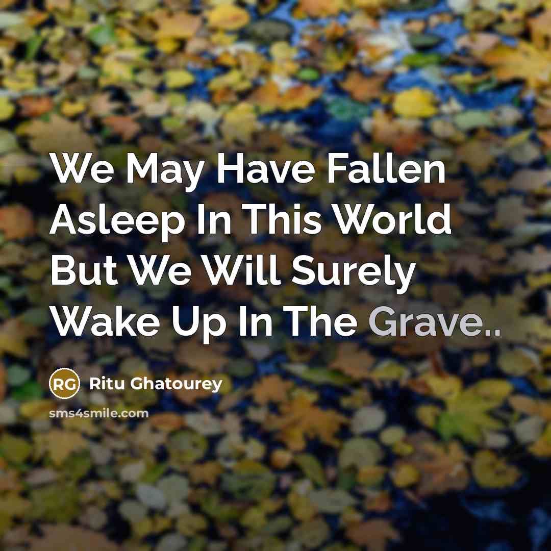 “We May Have Fallen Asleep In This World But We…” quote by Ritu Ghatourey