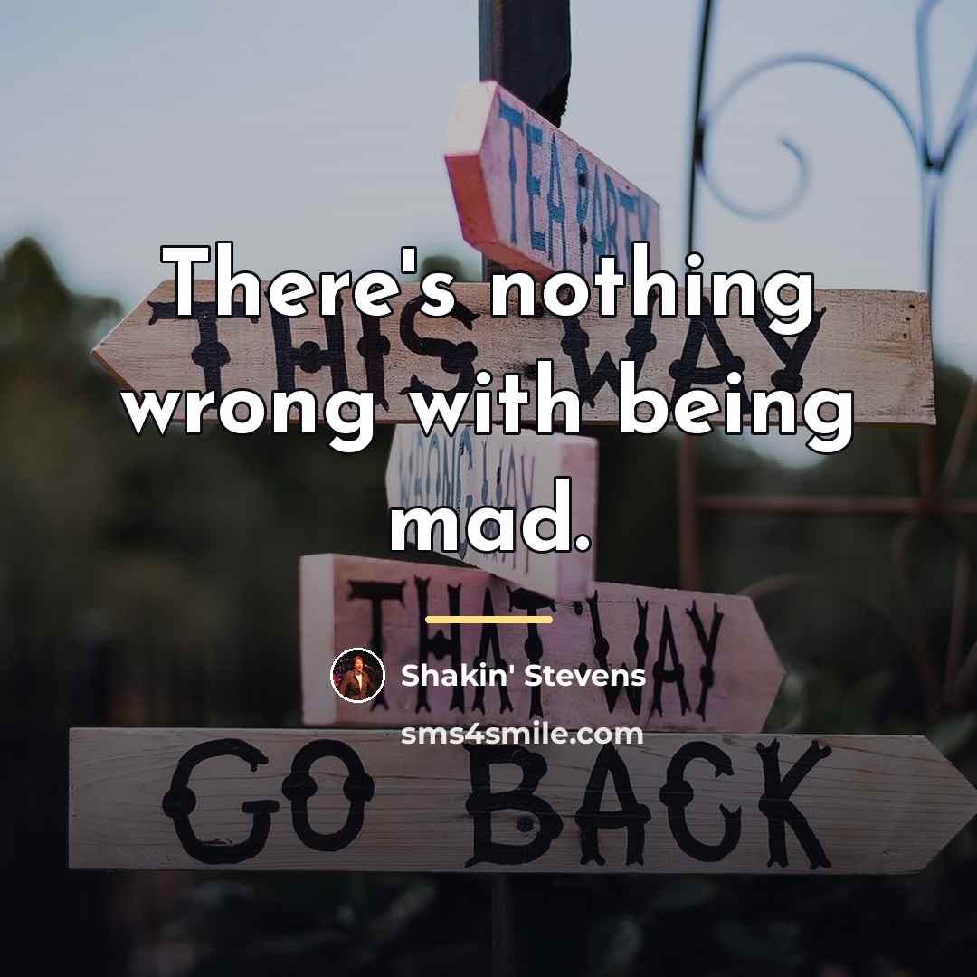“There's nothing wrong with being mad.…” quote by Shakin' Stevens