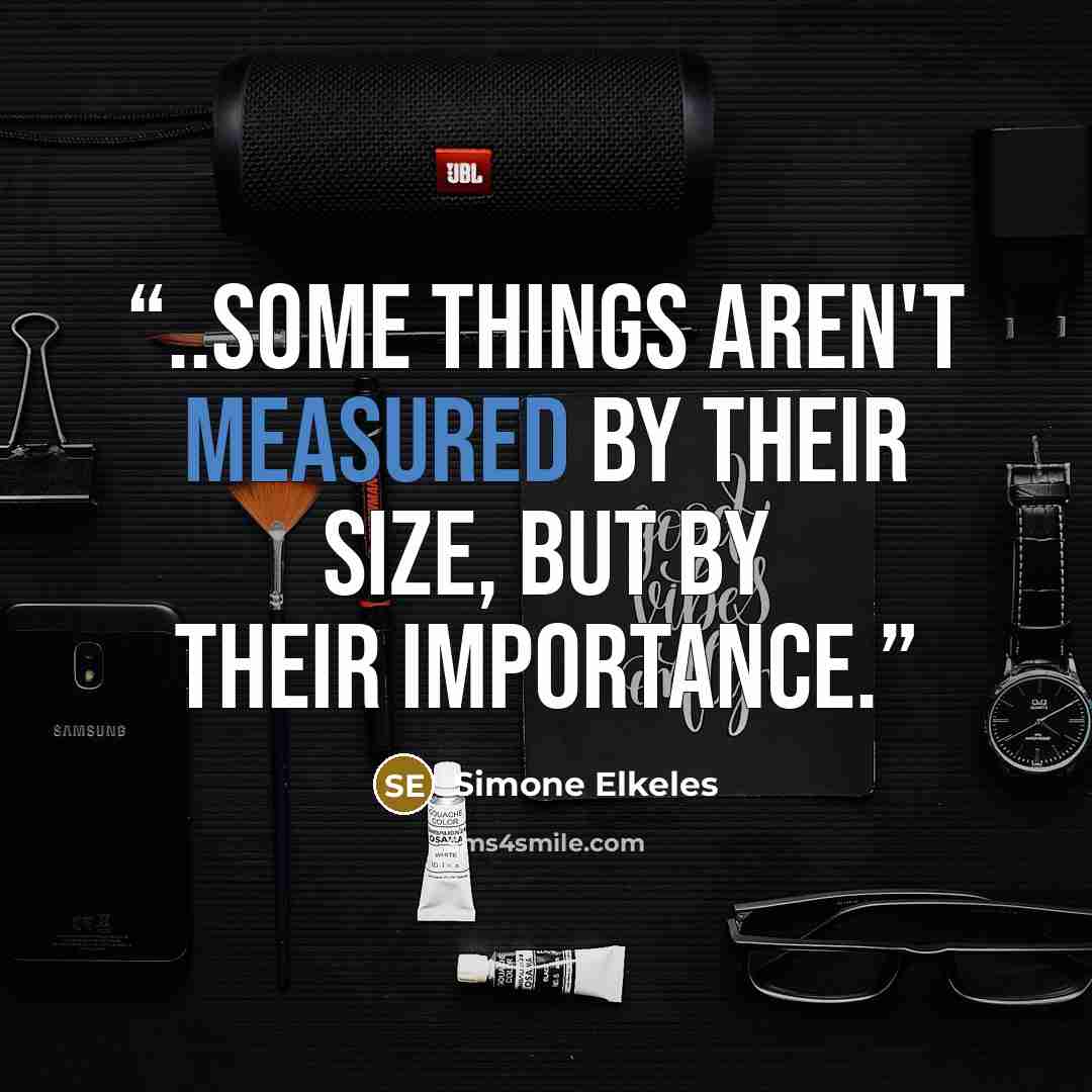 “..Some things aren't measured by their size, but by their importance.” quote by Simone Elkeles
