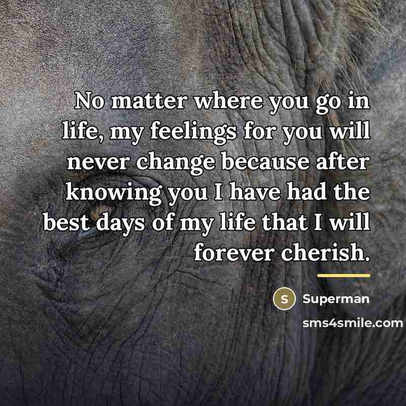 “No matter where you go in life, my feelings for…” quote by Superman