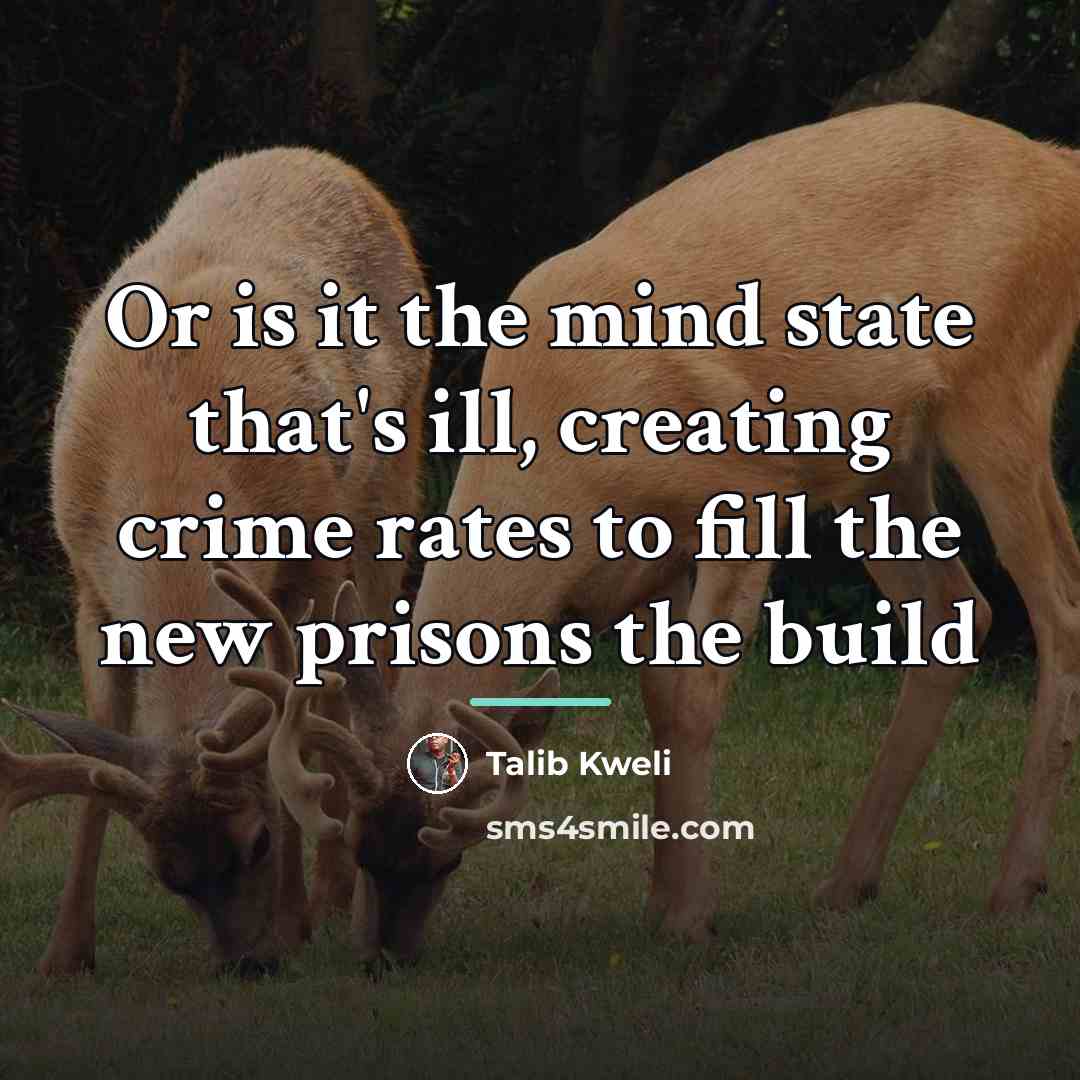 “Or is it the mind state that's ill, creating crime…” quote by Talib Kweli