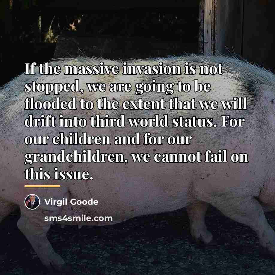 “If the massive invasion is not stopped, we are going…” quote by Virgil Goode