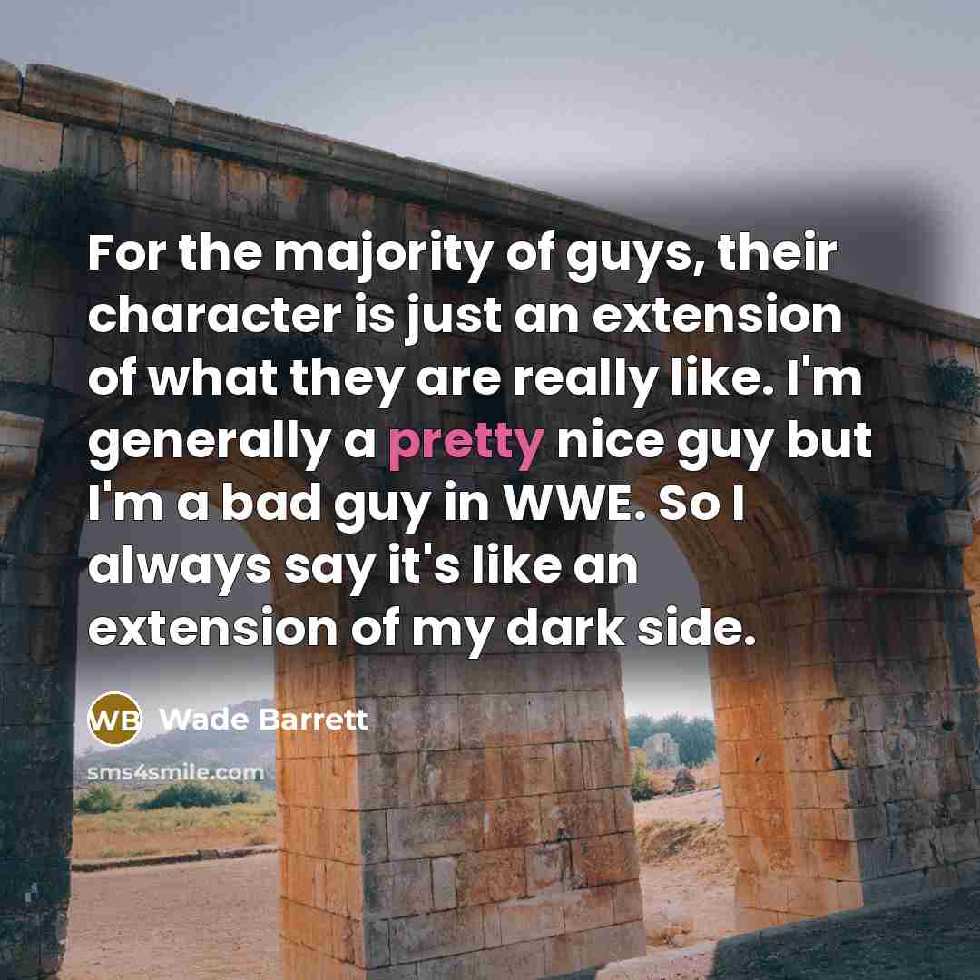 “For the majority of guys, their character is just an…” quote by Wade Barrett