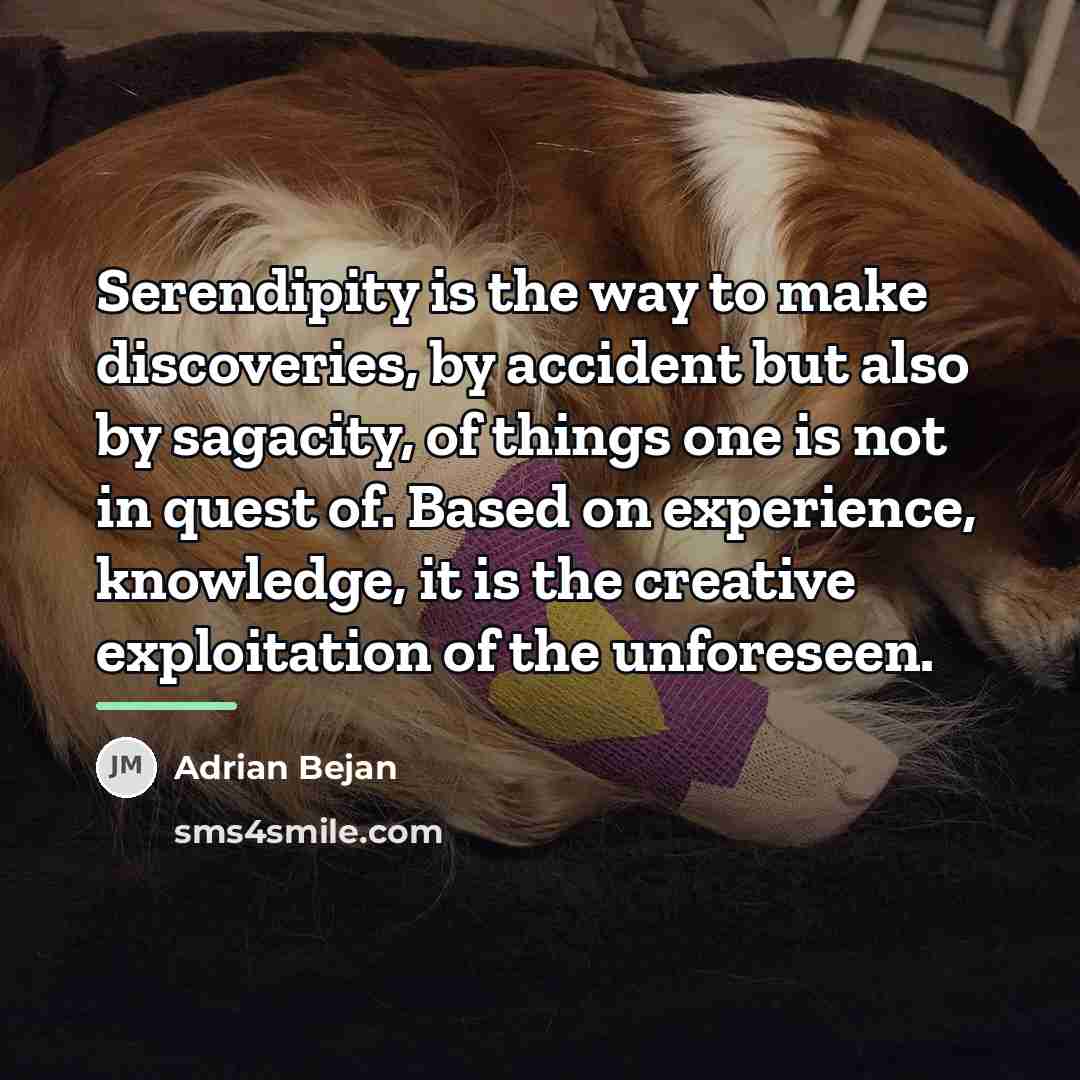 “Serendipity is the way to make discoveries, by accident but…” quote by Adrian Bejan