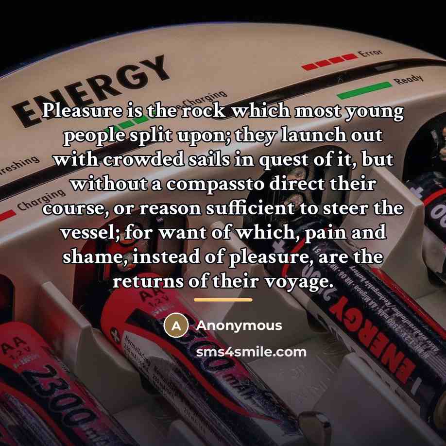 “Pleasure is the rock which most young people split upon;…” quote by Anonymous