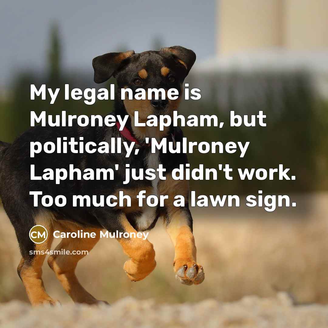 “My legal name is Mulroney Lapham, but politically, 'Mulroney Lapham'…” quote by Caroline Mulroney