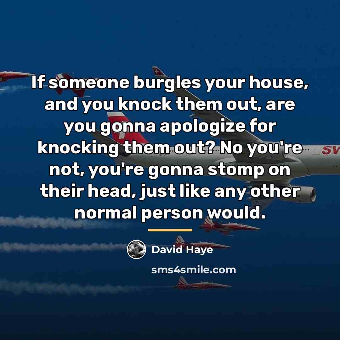 “If someone burgles your house, and you knock them out,…” quote by David Haye