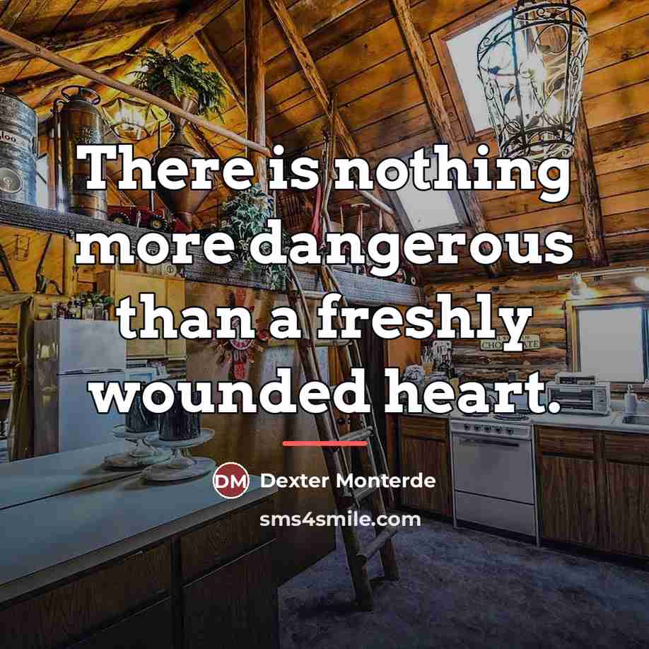 “There is nothing more dangerous than a freshly wounded heart.…” quote by Dexter Monterde