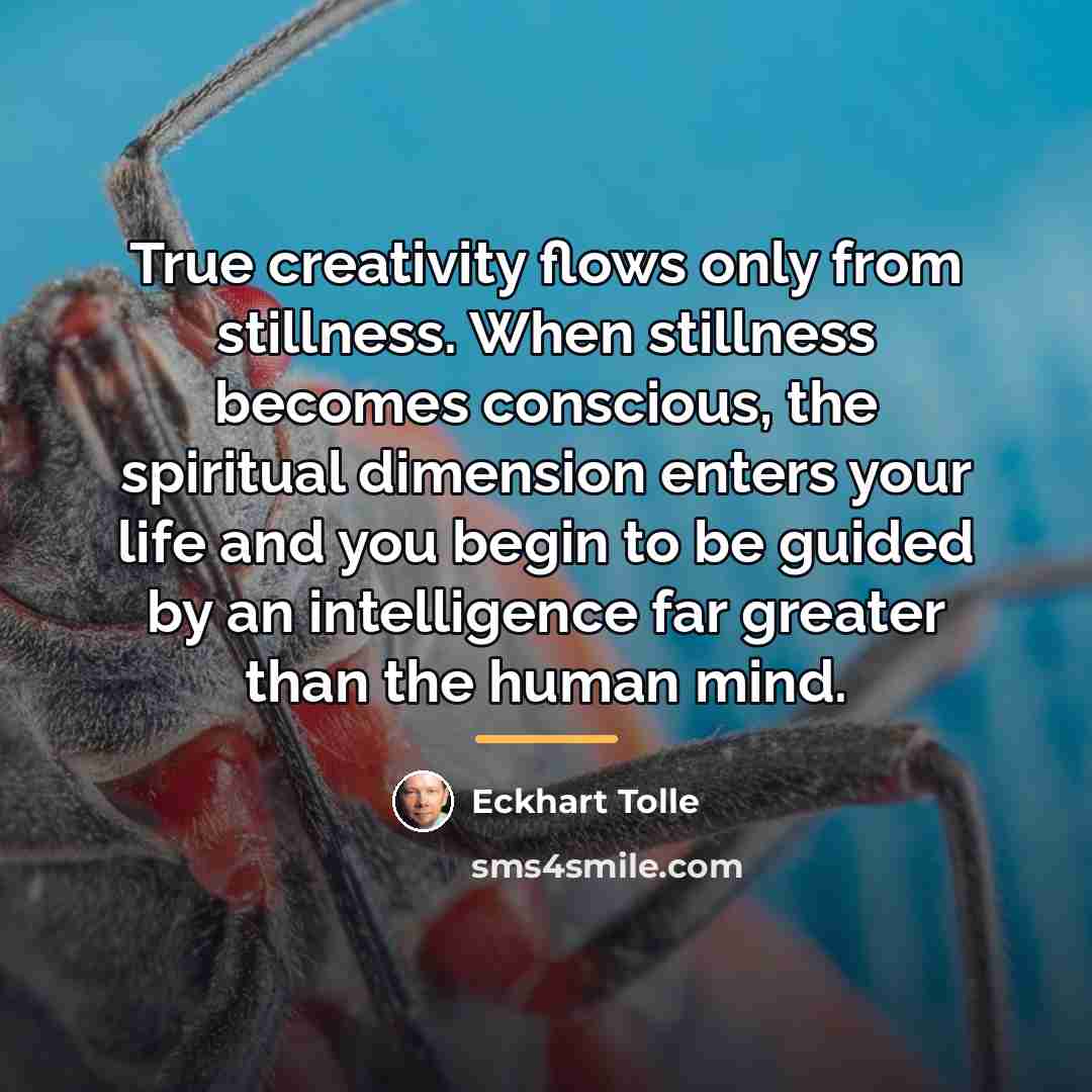 “True creativity flows only from stillness. When stillness becomes conscious,…” quote by Eckhart Tolle