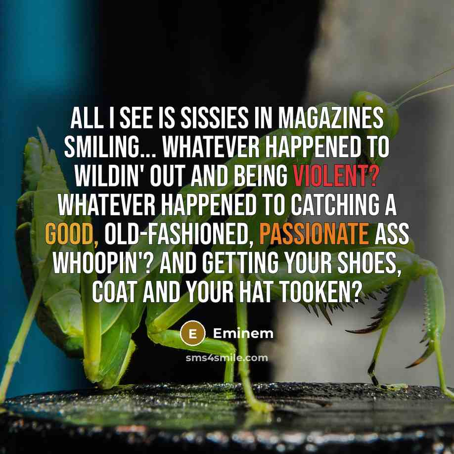 “All I see is sissies in magazines smiling... Whatever happened…” quote by Eminem