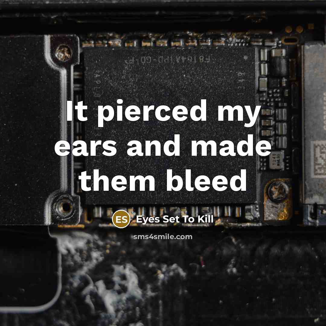 “It pierced my ears and made them bleed” quote by Eyes Set To Kill