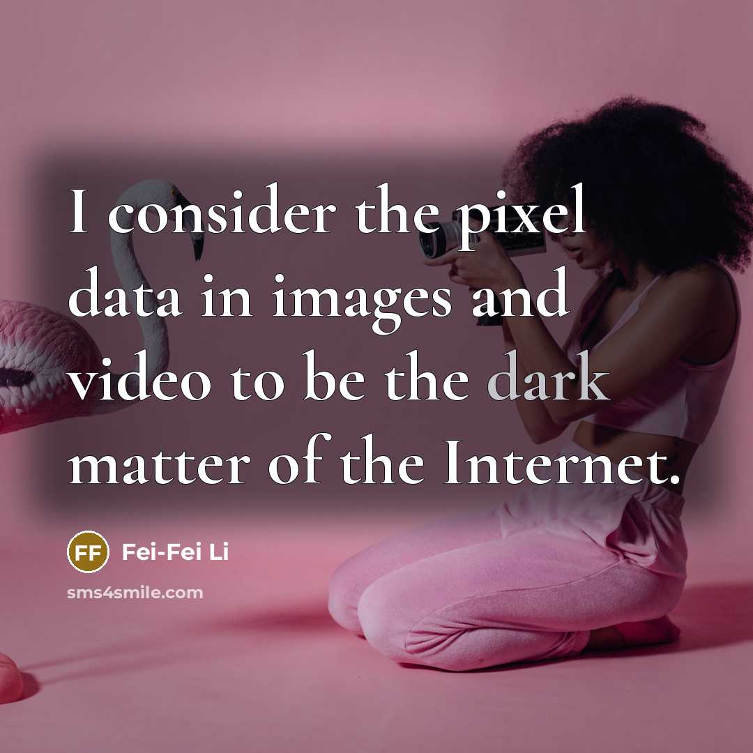 “I consider the pixel data in images and video to…” quote by Fei-Fei Li
