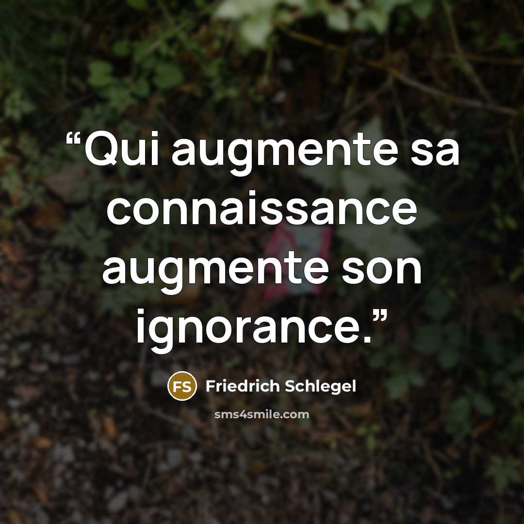“Qui augmente sa connaissance augmente son ignorance.” quote by Friedrich Schlegel