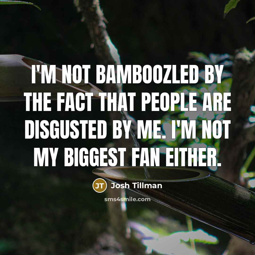 “I'm not bamboozled by the fact that people are disgusted…” quote by Josh Tillman