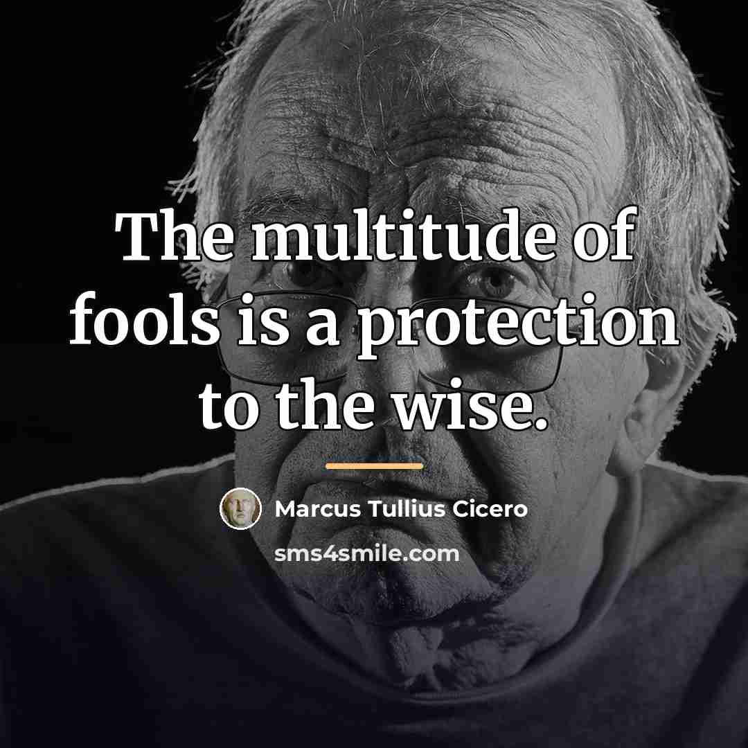 “The multitude of fools is a protection to the wise.…” quote by Marcus Tullius Cicero