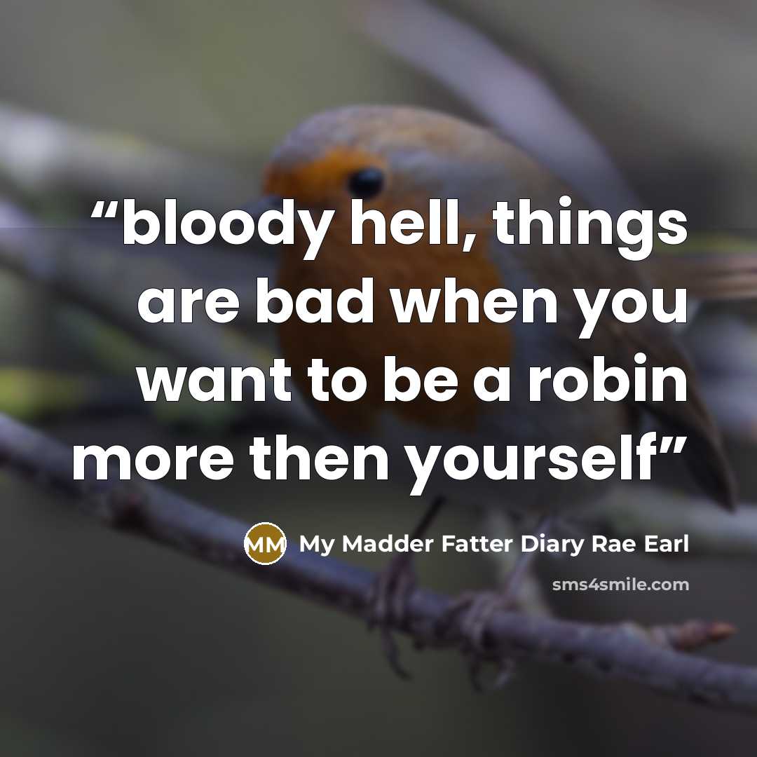 “bloody hell, things are bad when you want to be a robin more then yourself” quote by My Madder Fatter Diary Rae Earl