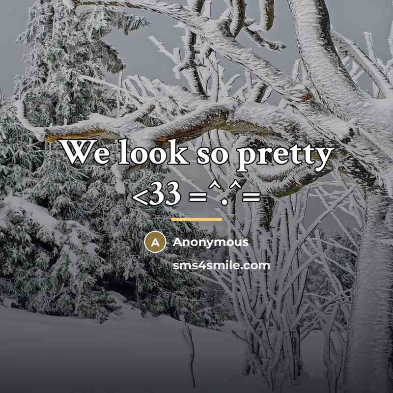 “We look so pretty…” quote by Anonymous