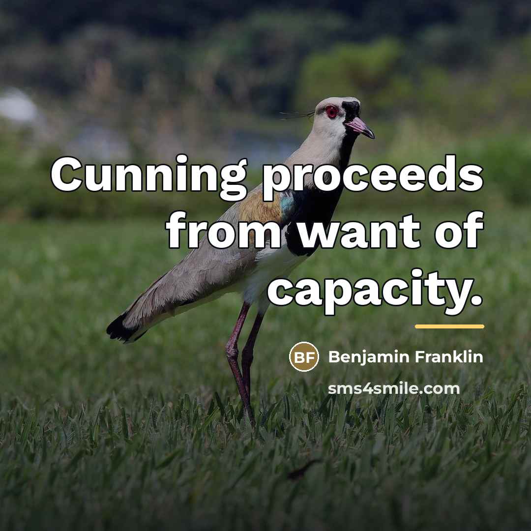 “Cunning proceeds from want of capacity.…” quote by Benjamin Franklin