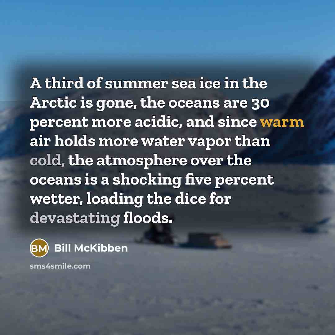 “A third of summer sea ice in the Arctic is…” quote by Bill McKibben