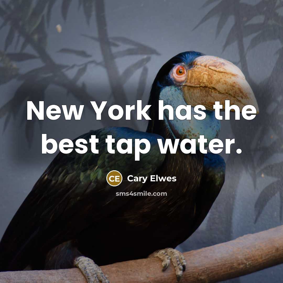 “New York has the best tap water.…” quote by Cary Elwes