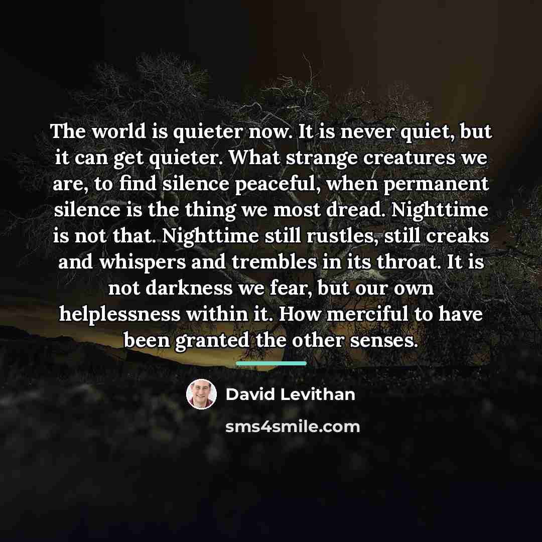 “The world is quieter now. It is never quiet, but…” quote by David Levithan