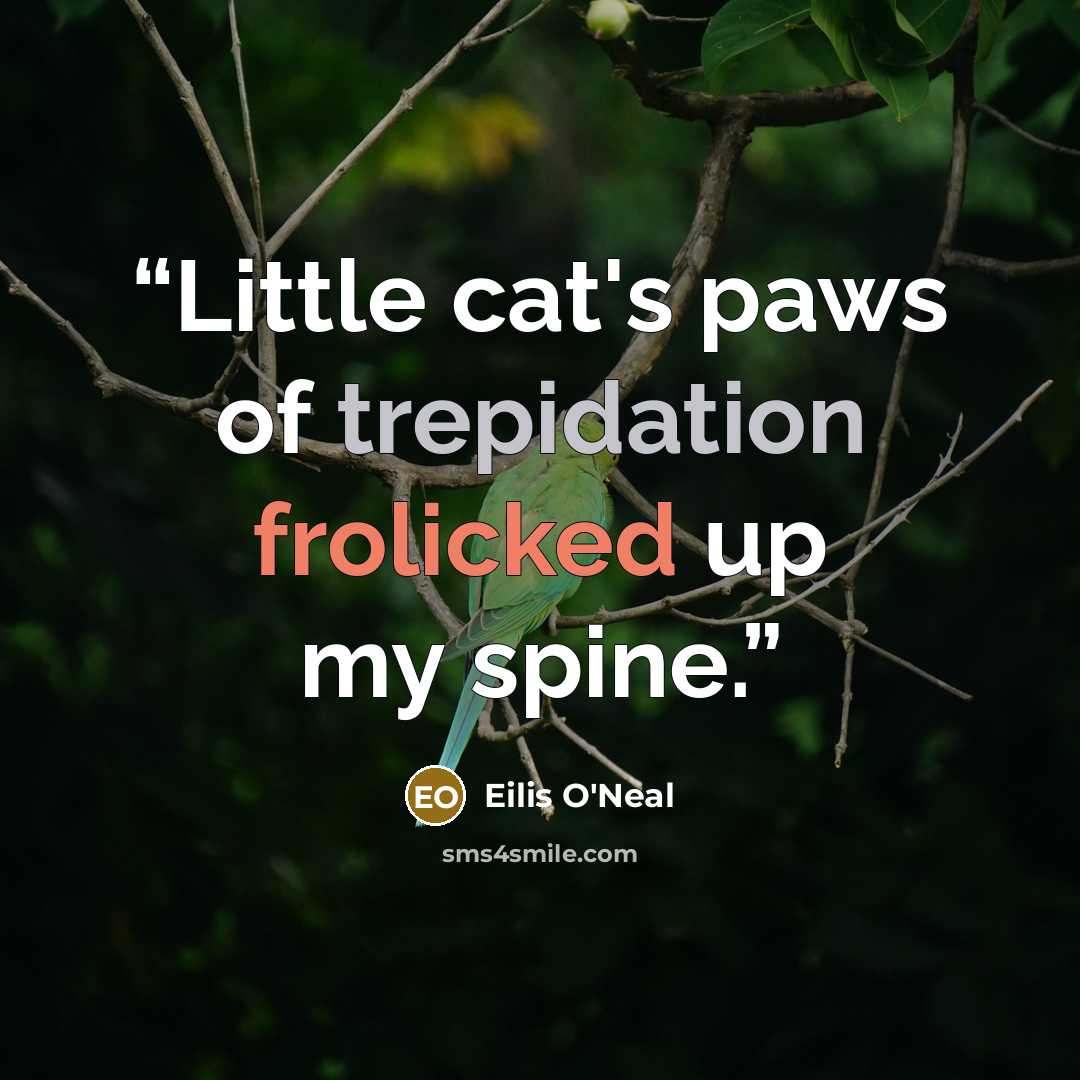 “Little cat's paws of trepidation frolicked up my spine.” quote by Eilis O'Neal
