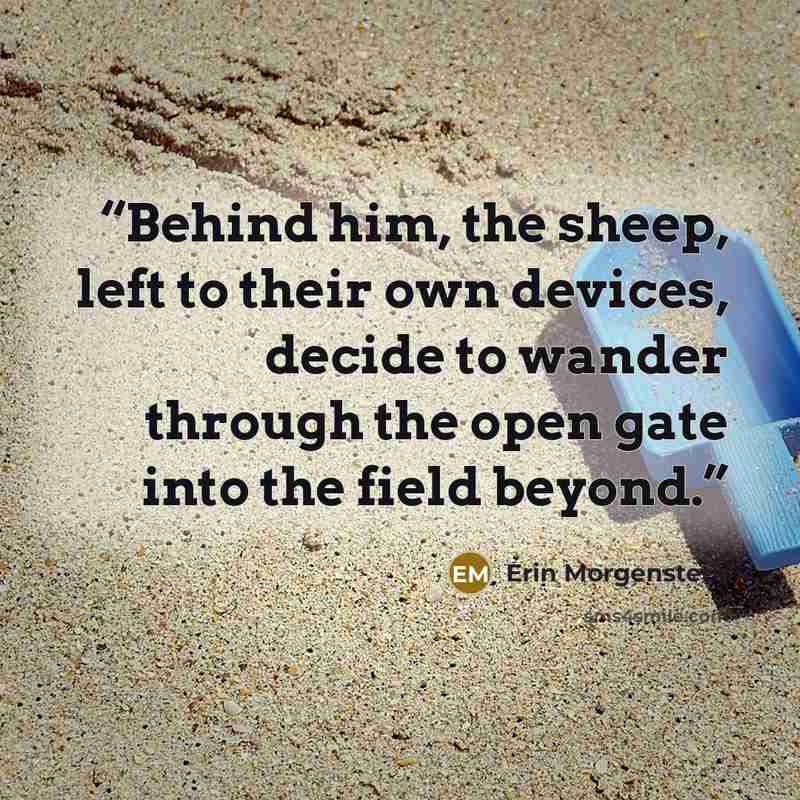 “Behind him, the sheep, left to their own devices, decide to wander through the open gate into the field beyond.” quote by Erin Morgenstern