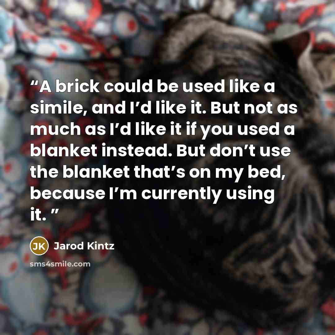“A brick could be used like a simile, and I’d like it. But not as much as I’d like it if you used a blanket instead. But don’t use the blanket that’s on my bed, because I’m currently using it.” quote by Jarod Kintz