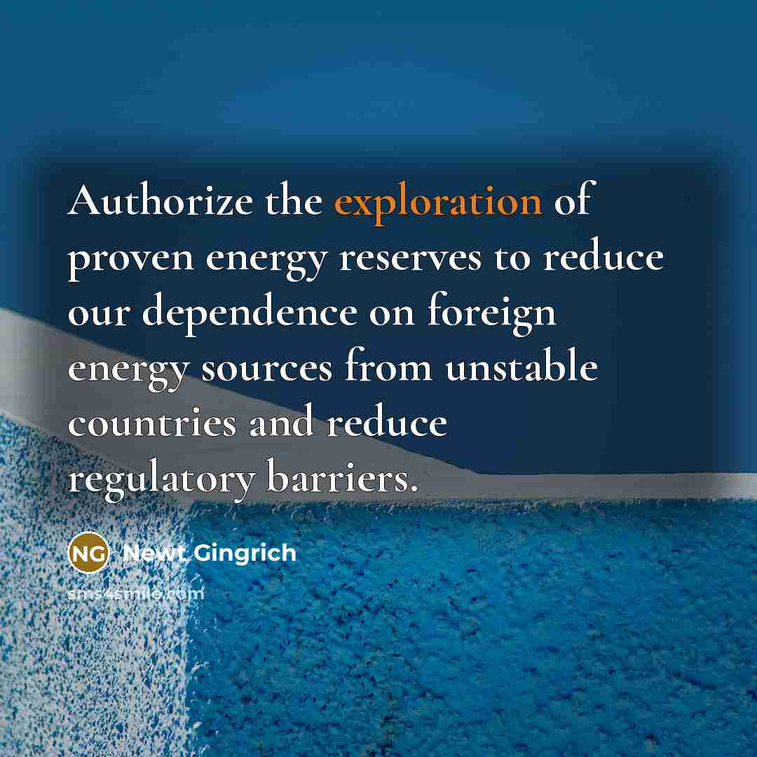“Authorize the exploration of proven energy reserves to reduce our…” quote by Newt Gingrich