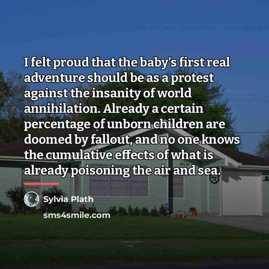 “I felt proud that the baby's first real adventure should…” quote by Sylvia Plath