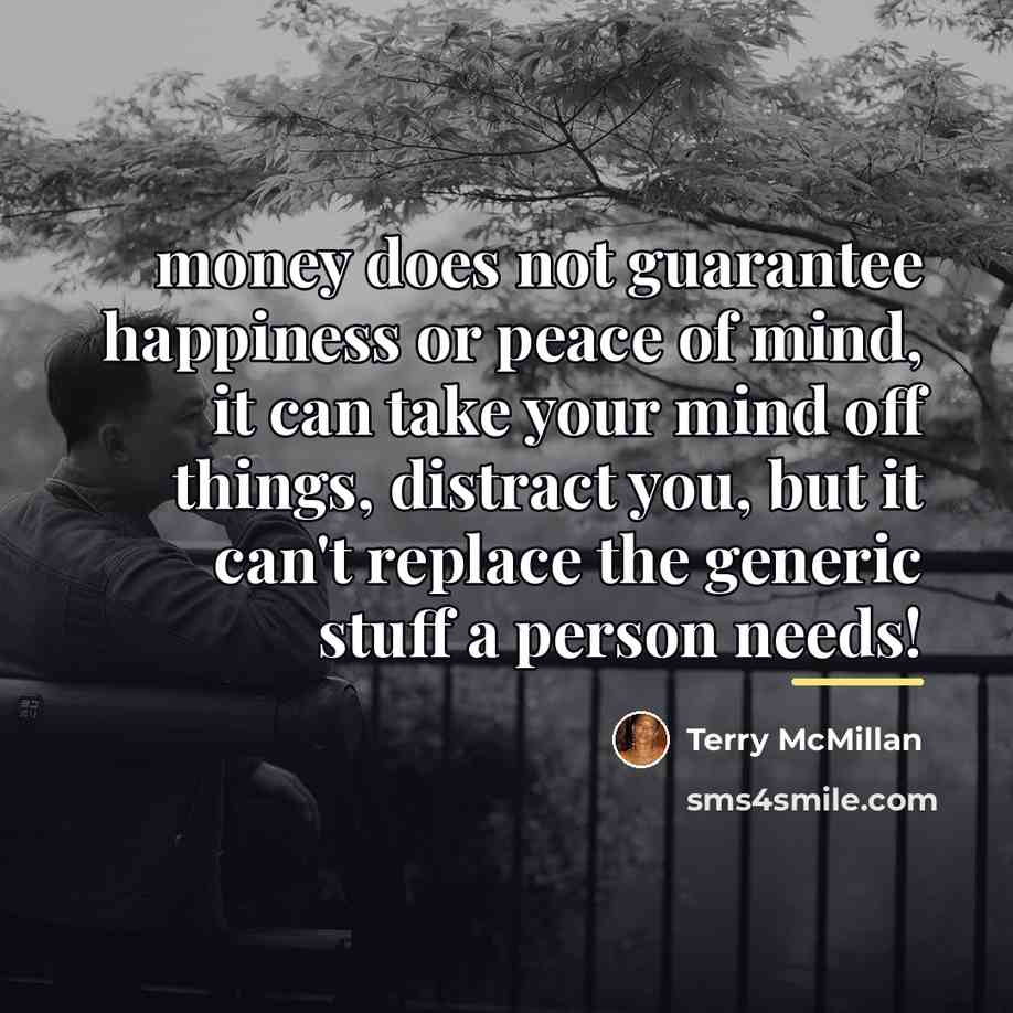 “money does not guarantee happiness or peace of mind, it…” quote by Terry McMillan