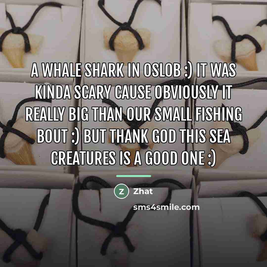 “A whale shark in oslob :) it was kinda scary…” quote by Zhat