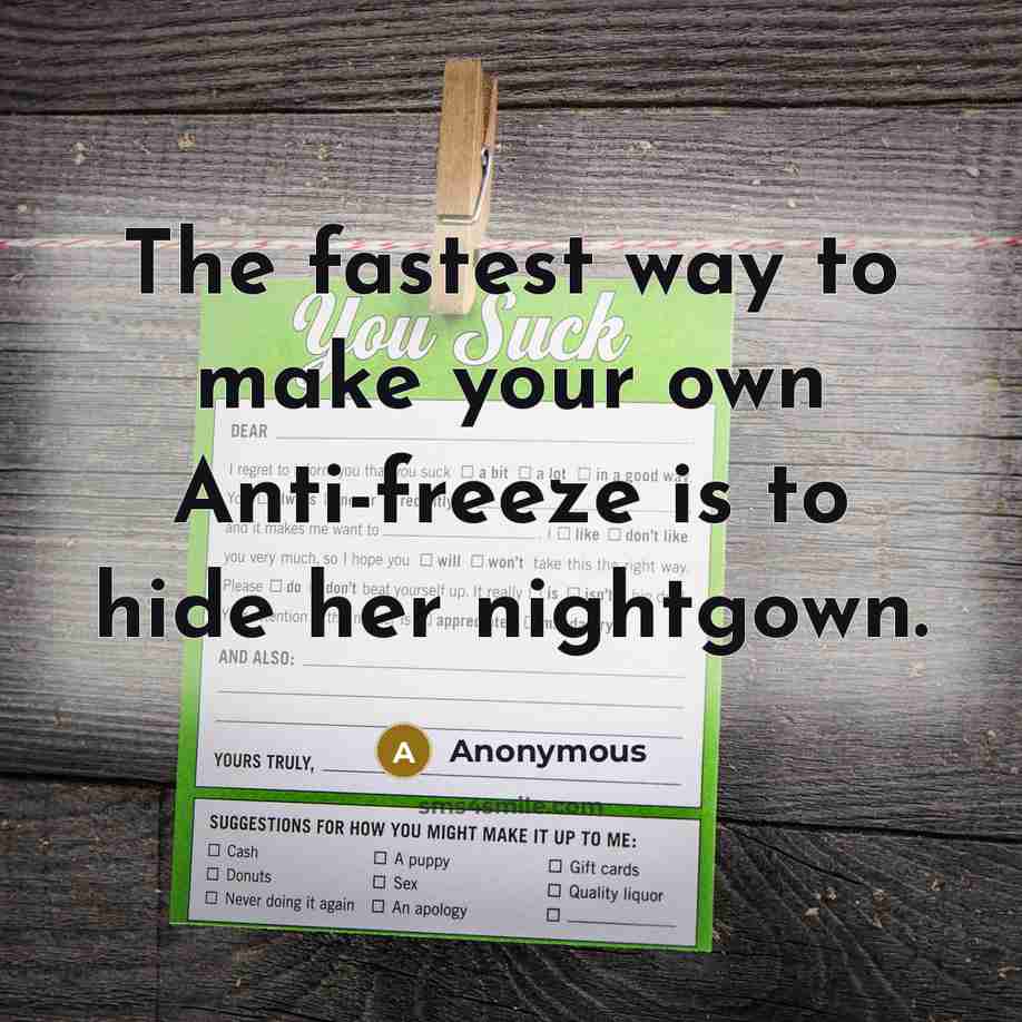 “The fastest way to make your own Anti-freeze is to hide her nightgown.” quote by Anonymous