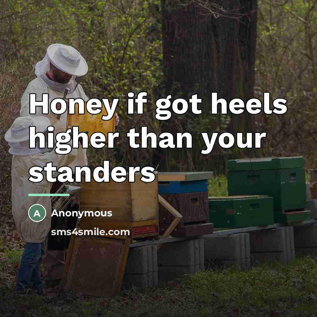 “Honey if got heels higher than your standers…” quote by Anonymous