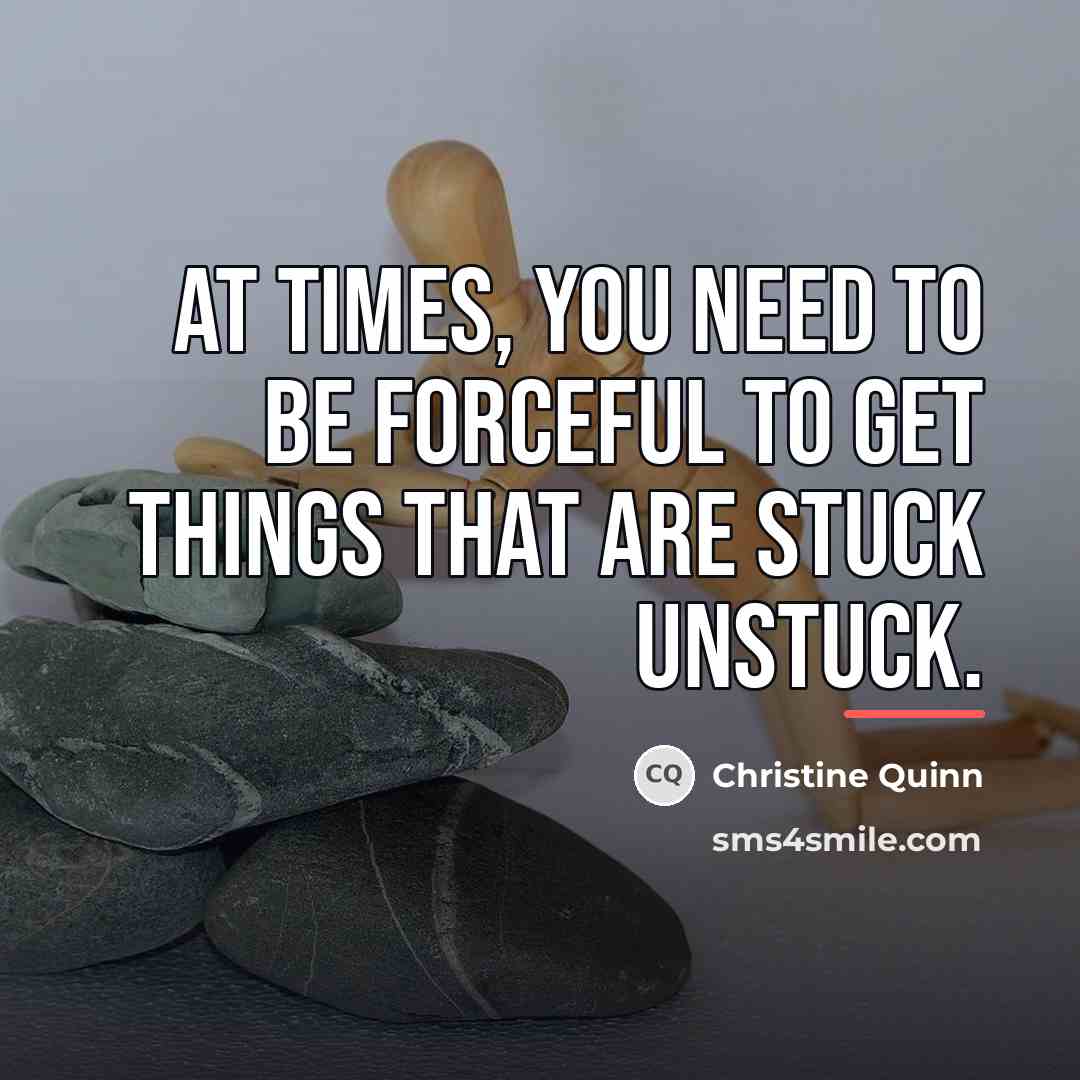 “At times, you need to be forceful to get things…” quote by Christine Quinn