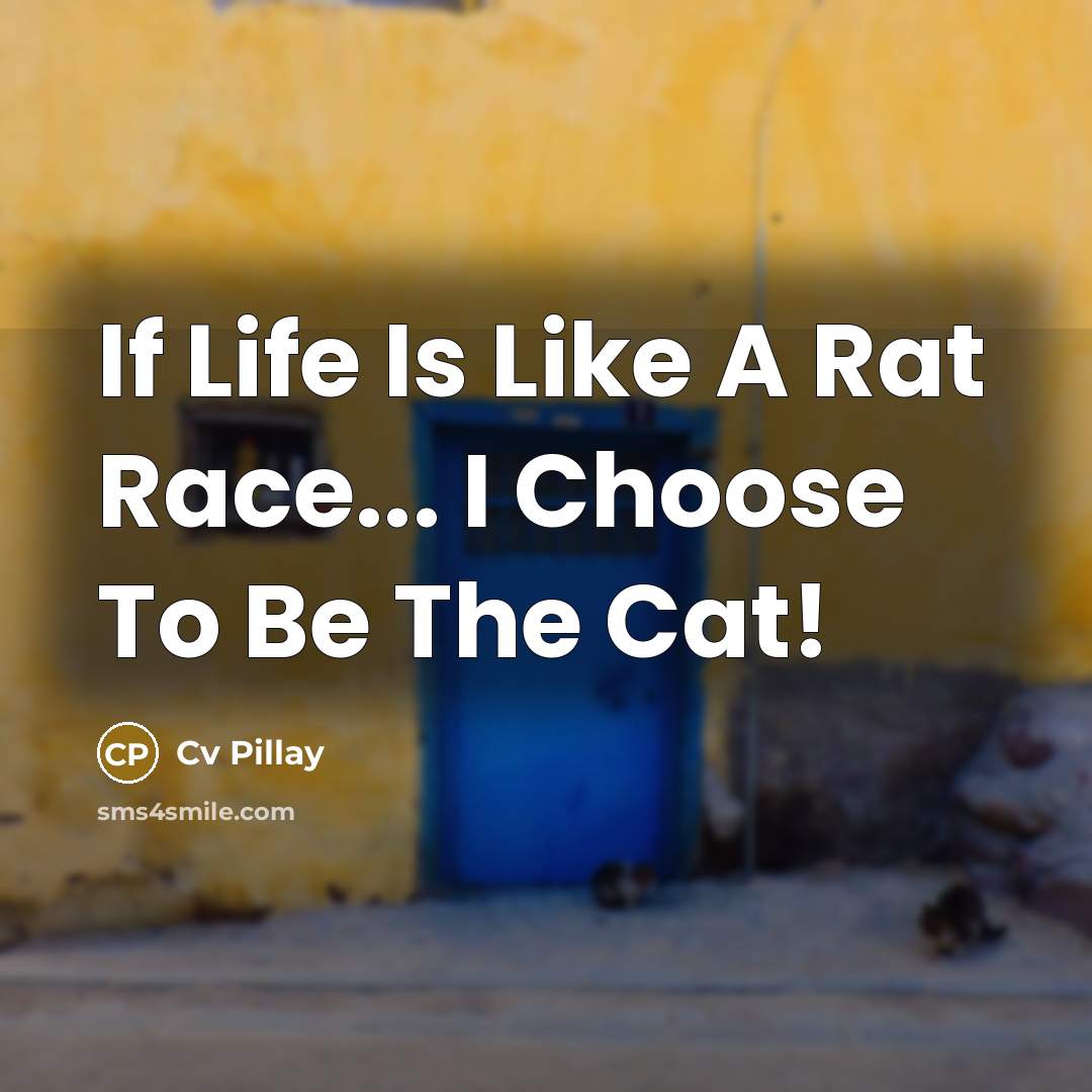 “If Life Is Like A Rat Race... I Choose To Be The Cat!” quote by Cv Pillay