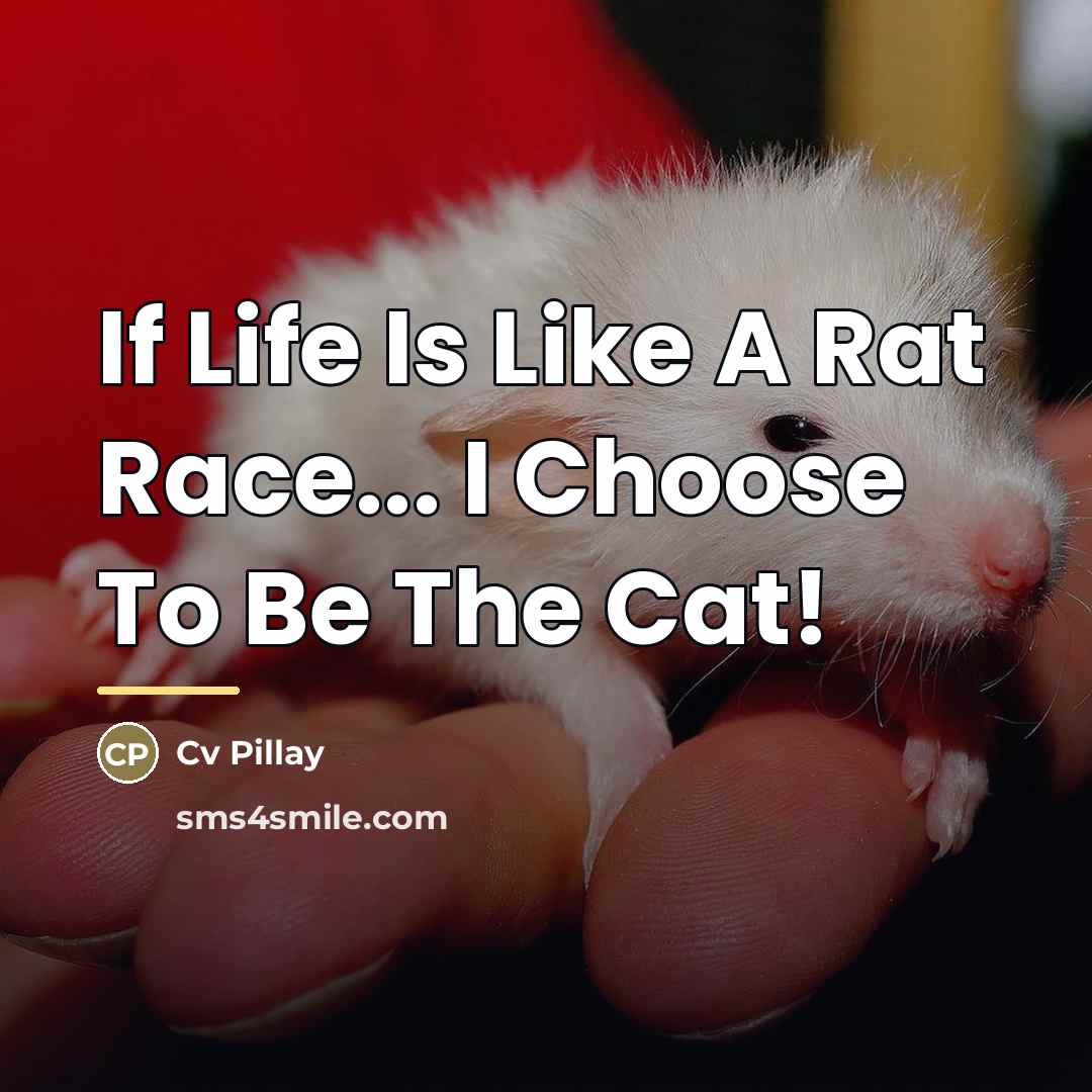 “If Life Is Like A Rat Race... I Choose To…” quote by Cv Pillay