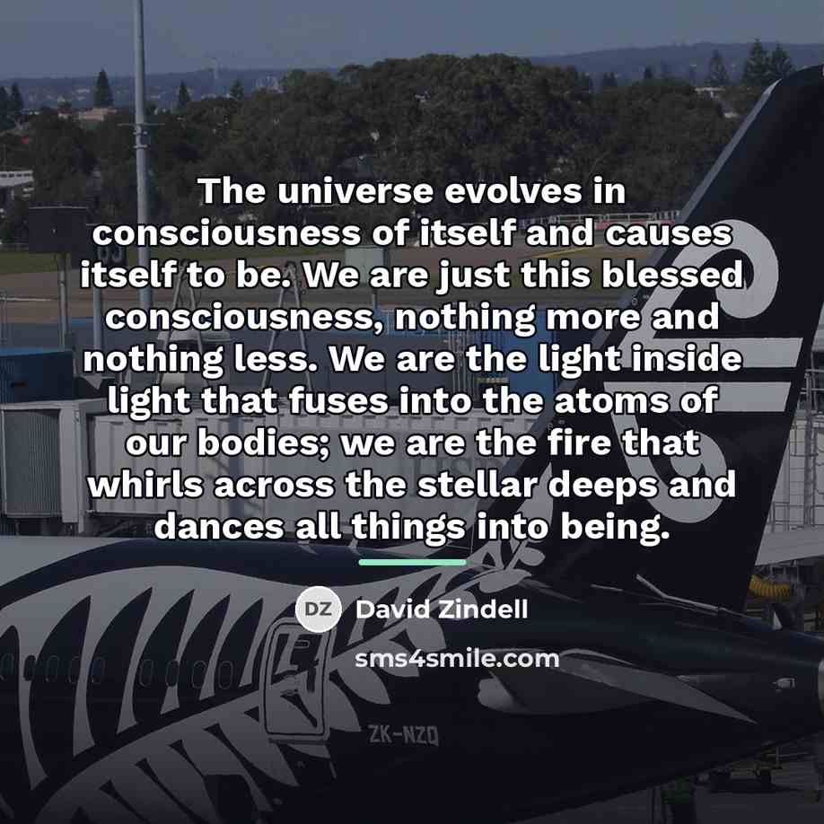 “The universe evolves in consciousness of itself and causes itself…” quote by David Zindell