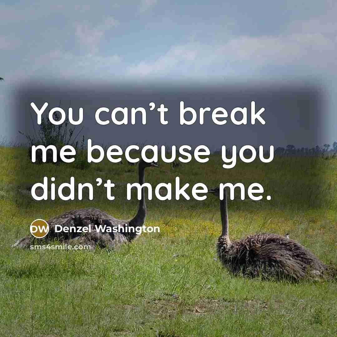 “You can’t break me because you didn’t make me.…” quote by Denzel Washington