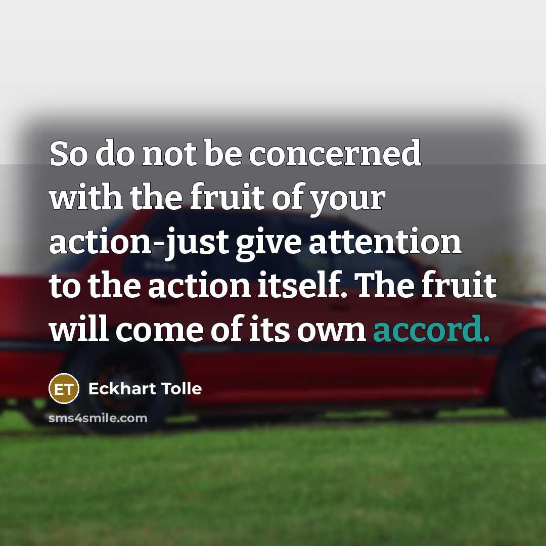 “So do not be concerned with the fruit of your…” quote by Eckhart Tolle