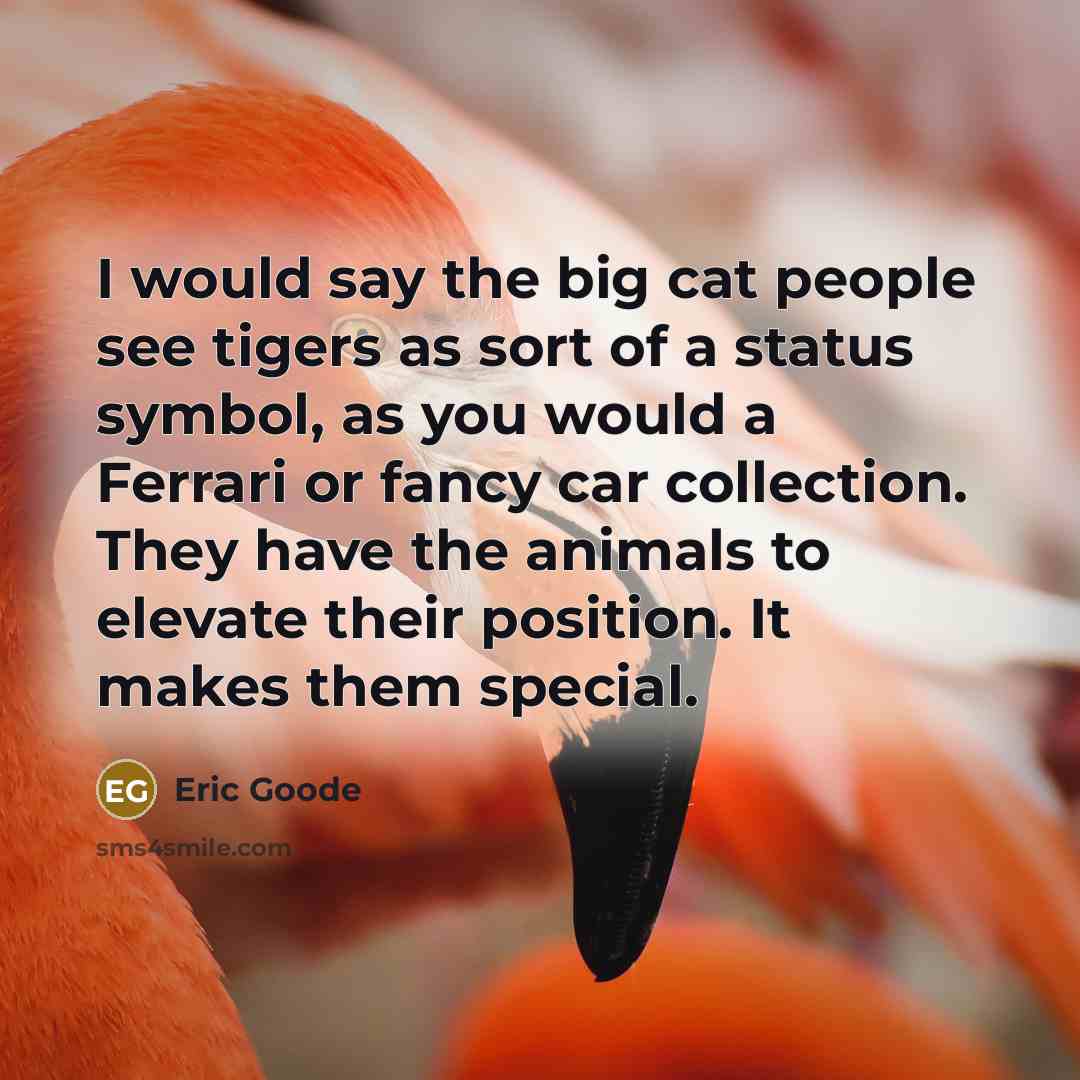 “I would say the big cat people see tigers as…” quote by Eric Goode