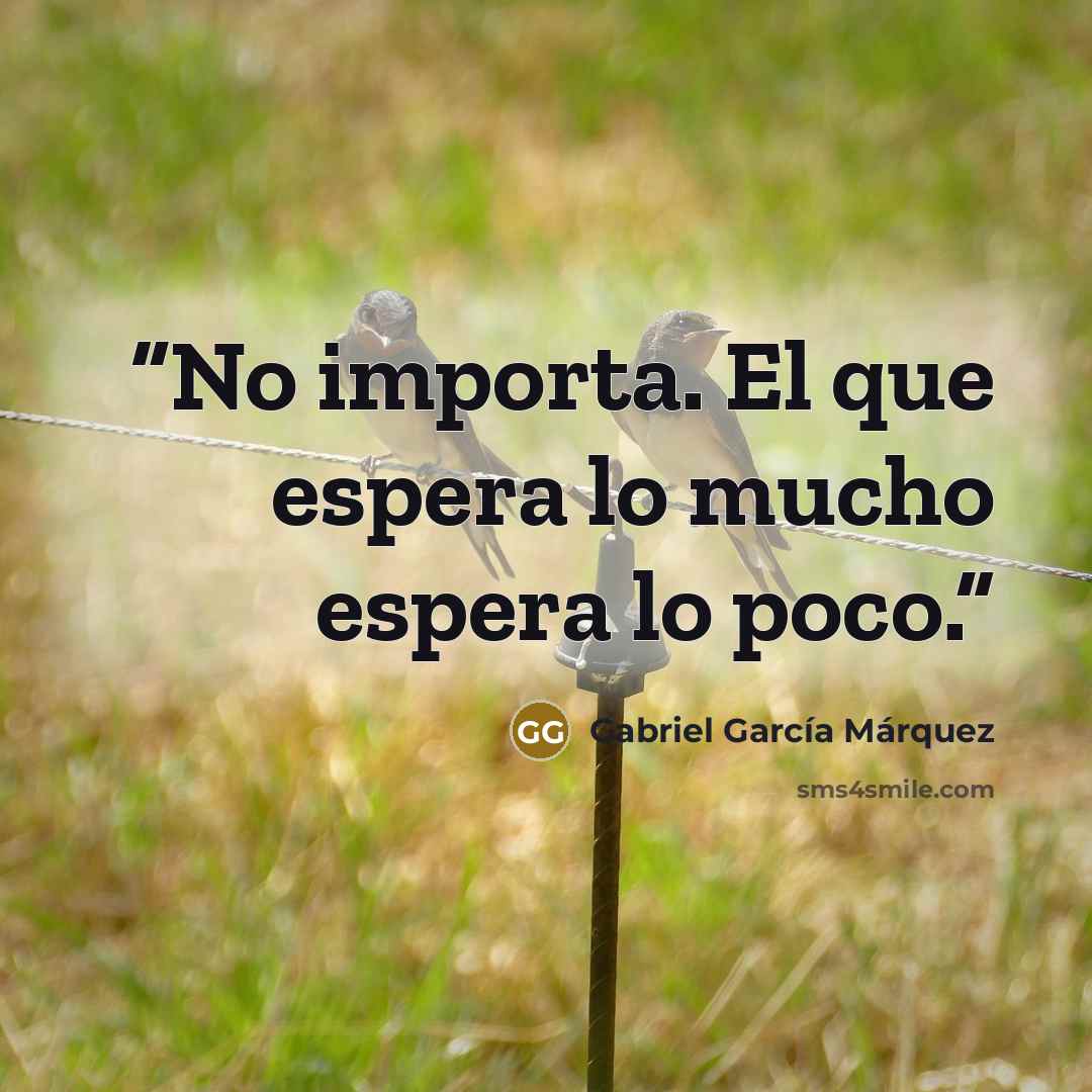 “No importa. El que espera lo mucho espera lo poco.” quote by Gabriel García Márquez