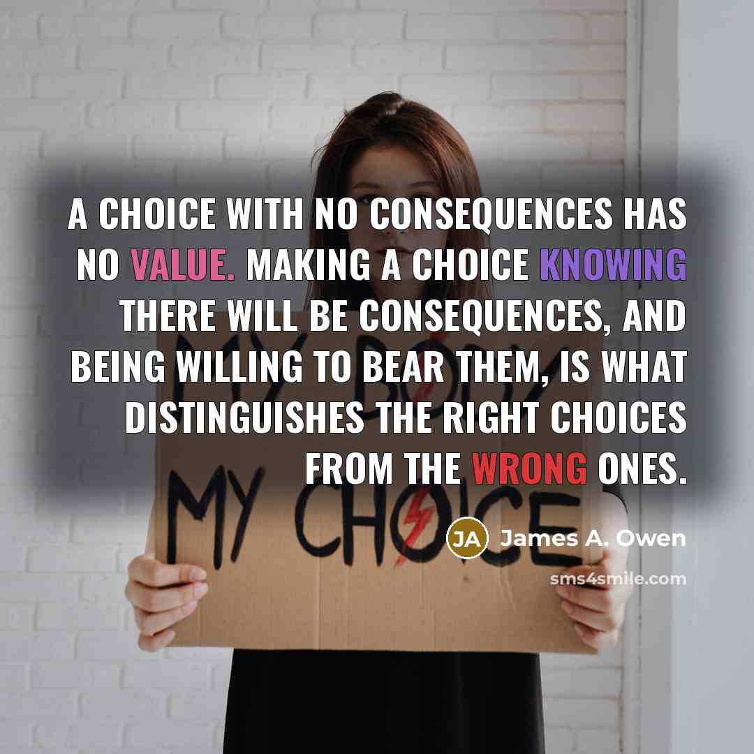 “A choice with no consequences has no value. Making a…” quote by James A. Owen