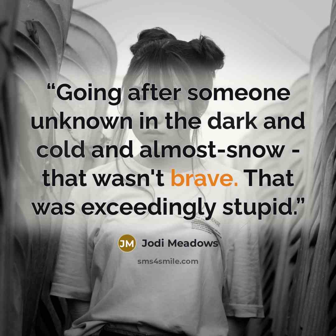 “Going after someone unknown in the dark and cold and almost-snow - that wasn't brave. That was exceedingly stupid.” quote by Jodi Meadows