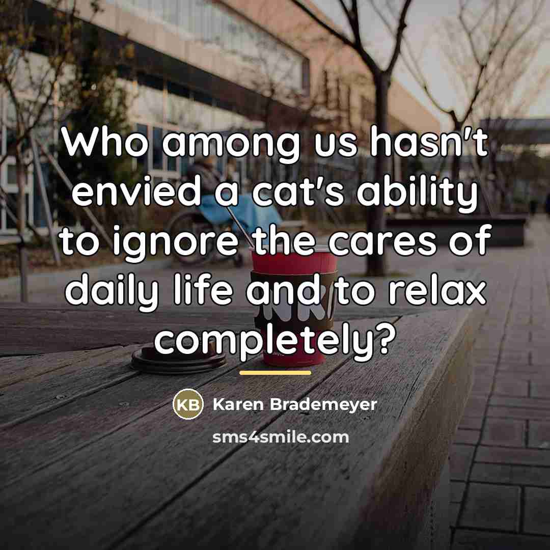 “Who among us hasn't envied a cat's ability to ignore…” quote by Karen Brademeyer