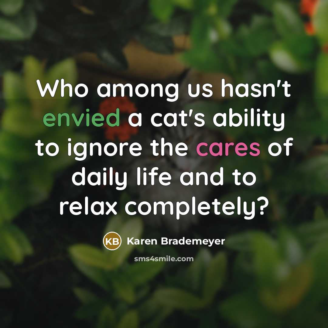 “Who among us hasn't envied a cat's ability to ignore the cares of daily life and to relax completely?” quote by Karen Brademeyer