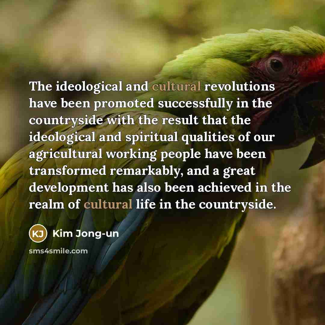 “The ideological and cultural revolutions have been promoted successfully in…” quote by Kim Jong-un